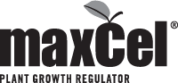 MaxCel® Plant Growth Regulator