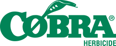 Cobra® Herbicide