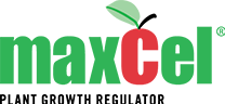 MaxCel® Plant Growth Regulator