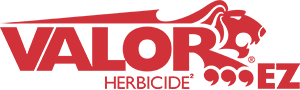 Valor® EZ Herbicide