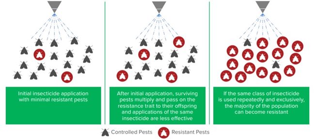 DiPel-Resistance-Graphic.jpg