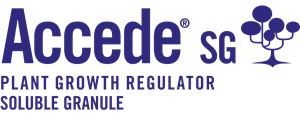 Accede® SG Plant Growth Regulator Soluble Granule