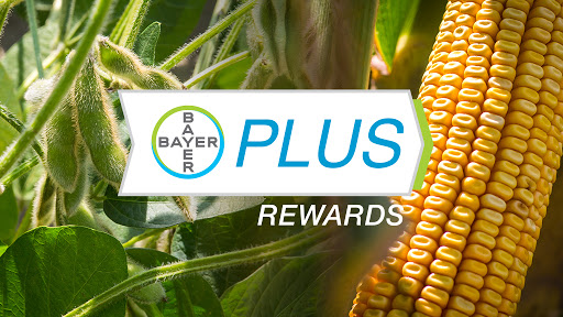 2023-2024 Bayer PLUS Rewards