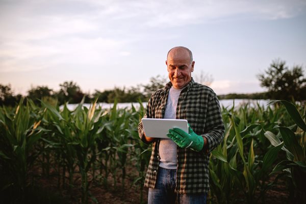 Grower in a cord field entering data into a tablet device